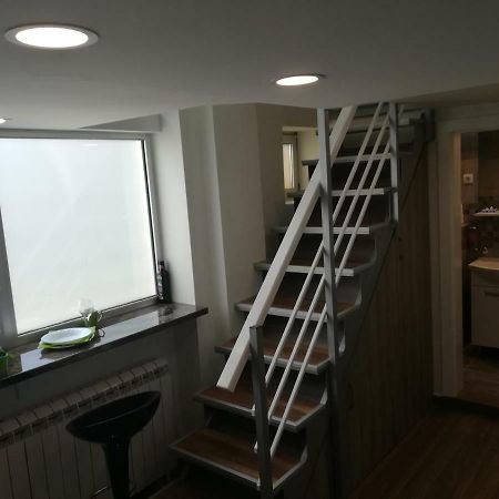 Classy And Cozy - Parking - 3 Beds - Near Center 노비사드 외부 사진