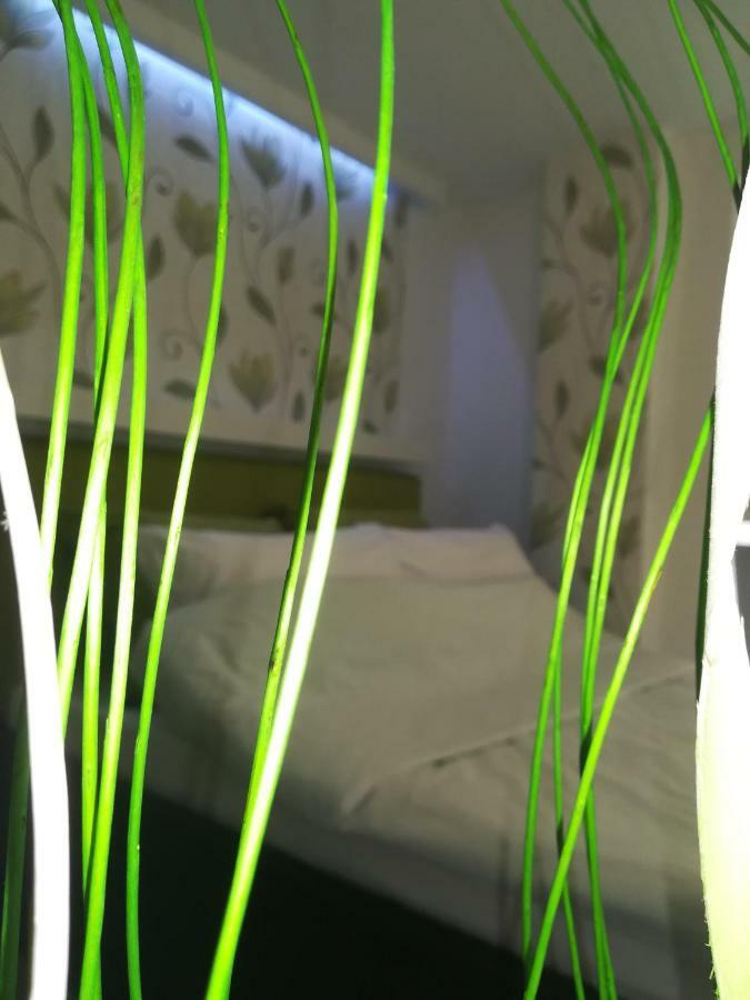 Classy And Cozy - Parking - 3 Beds - Near Center 노비사드 외부 사진